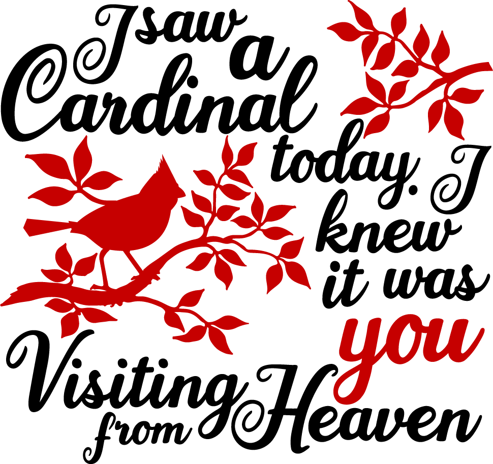 Vinyl Decal | I Saw A Cardinal Today | Cars, Laptops, Etc.