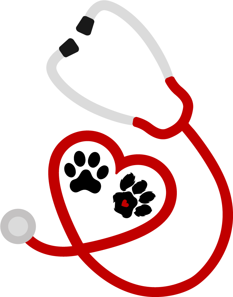 Vinyl Decal | Vet Stethoscope | Cars, Laptops, Etc.