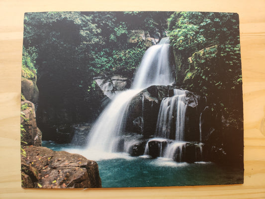 Forest Waterfall Rectangle Canvas Print