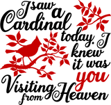 Vinyl Decal | I Saw A Cardinal Today | Cars, Laptops, Etc.